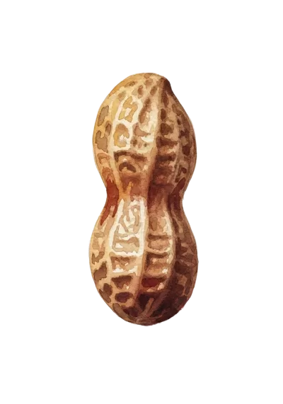 Imagen PNG para descargar